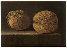 Artistic depiction of two walnuts (Adriaen Coorte, 1702) Adriaen Coorte - Two Walnuts.jpg