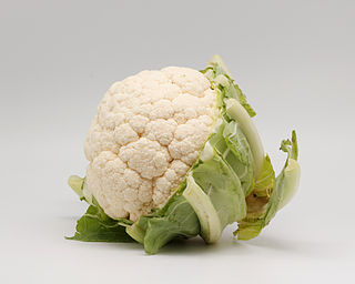 <span class="mw-page-title-main">Cauliflower</span> Vegetable in the species Brassica oleracea