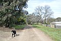 English: Hibberds Lane in Clonbinane, Victoria