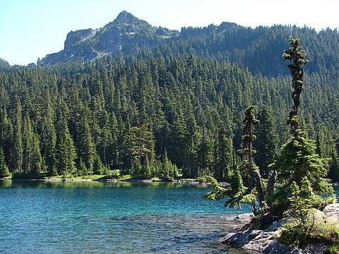 Fay Peak from Mowich Lake