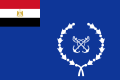 Navy flag