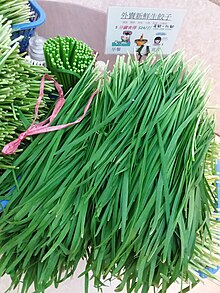 Garlic chives being sold in Hong Kong HK Shen Shui Bu Sham Shui Po 104 Fu Hua Jie Fuk Wa Street Yuan Fang Jiao Zi Zhou Mian Yuen Fong restaurant green Jiu Cai Allium tuberosum Dec 2018 SSG 01.jpg