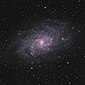 Triangulum Galaxy M33HunterWilson09.jpg