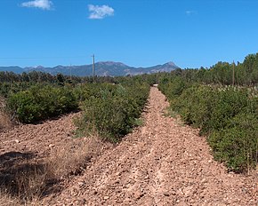 Sardinia, Villacidro<br/>(Italy)