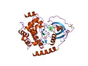 PDB 1xh8 EBI.jpg