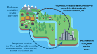 <span class="mw-page-title-main">Payment for ecosystem services</span>