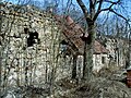 Ruine der Burg des Deutschen Ordens