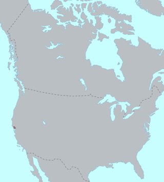 <span class="mw-page-title-main">Wappo language</span> Extinct language of North America