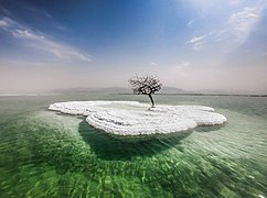 Dead Sea