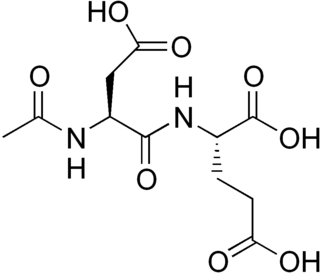 <i>N</i>-Acetylaspartylglutamic acid Peptide neurotransmitter