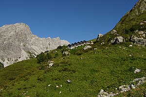 Alp in Vorarlberg