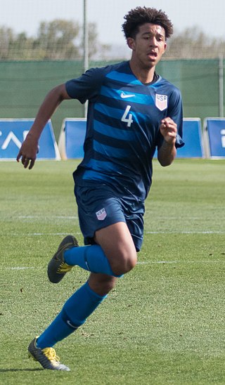 <span class="mw-page-title-main">Chris Richards (soccer)</span> American soccer player