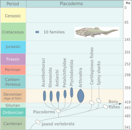 Evolution and extinction of placoderms. The diagram is based on Michael Benton, 2005. Evolution of placoderms.png