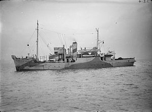 HMS Ringdove FL18078.jpg