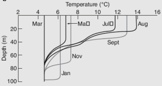 <span class="mw-page-title-main">Mixed layer</span> Layer in which active turbulence has homogenized some range of depths