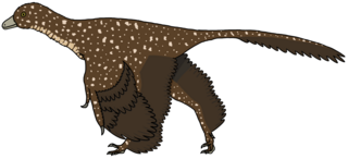 <i>Pedopenna</i> Extinct genus of dinosaurs