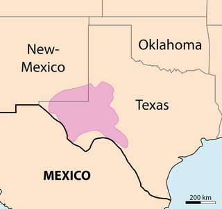 <span class="mw-page-title-main">Permian Basin (North America)</span> Large sedimentary basin in the US