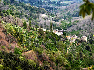 <span class="mw-page-title-main">Poggio-Marinaccio</span> Commune in Corsica, France