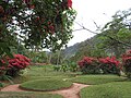 Public parc near the hot springs