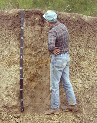 <span class="mw-page-title-main">Soil science</span> Study of soil as a natural resource on the surface of Earth