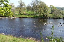 Chesters Bridge from the West bank of the Tyne Stephen-Nolan-Chesters-Bridge-from-the-west-bank.jpg