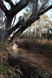 Sturt River river in Australia