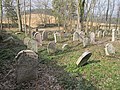 Jüdischer Friedhof bei Telice (Dölitschen)