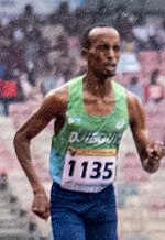 Thumbnail for File:Ayanleh Abdi Abdillahi (cropped).jpg