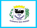 Bandeira de Campo do Meio