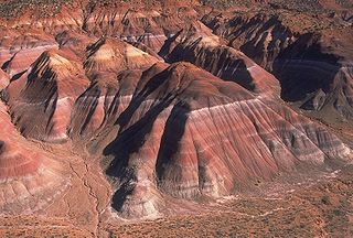 <span class="mw-page-title-main">Chinle Formation</span> Geological formation in the western US