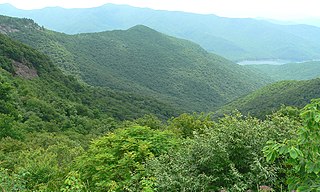 Appalachian–Blue Ridge forests Temperate broadleaf and mixed forests ecoregion of the United States