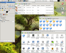 Screenshot di un desktop basato su ROX che mostra le diverse opzioni del ROX-Filer