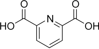 <span class="mw-page-title-main">Dipicolinic acid</span> Chemical compound