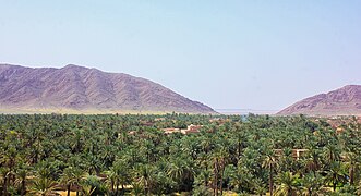 Vue des monts des Ksour depuis l'oasis de Figuig au Maroc.