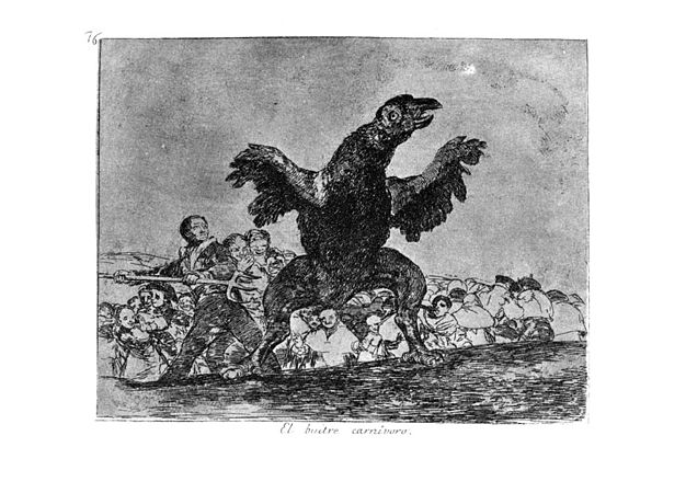 Plate 76 Español: El buitre carnívoro. English: The carnivorous vulture.