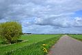 On the Graafschapspad hiking trail near Olburgen