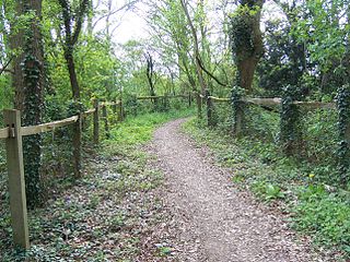 <span class="mw-page-title-main">Bridle path</span> Path that can be used by people riding horses