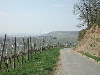 Keuperweg bei Heilbronn – ein geologischer Lehrpfad