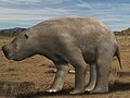 Nototherium