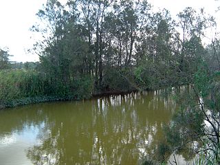 <span class="mw-page-title-main">Pimpama River</span> River in Queensland, Australia