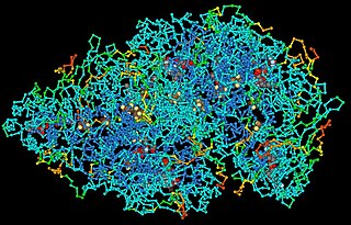 <span class="mw-page-title-main">Macromolecule</span> Very large molecule, such as a protein