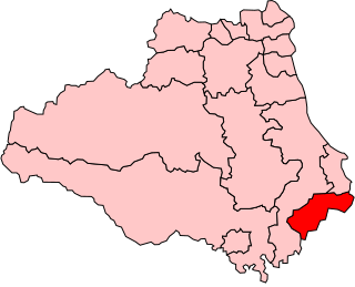 <span class="mw-page-title-main">Stockton-on-Tees (UK Parliament constituency)</span> Parliamentary constituency in the United Kingdom, 1868–1983