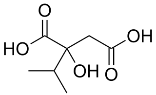 <span class="mw-page-title-main">Isopropylmalic acid</span> Chemical compound