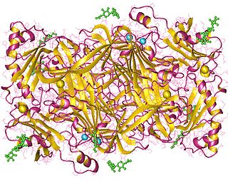 <span class="mw-page-title-main">Primary-amine oxidase</span>