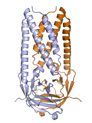 <span class="mw-page-title-main">ORF3a</span> Gene found in coronaviruses of the subgenus Sarbecovirus