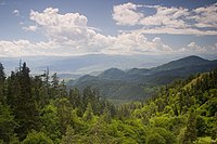 Borjomi mountains.jpg