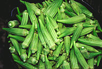 Bucket of raw okra pods.jpg