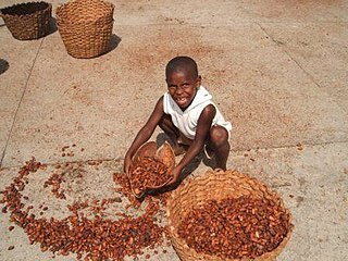 <span class="mw-page-title-main">Harkin–Engel Protocol</span> 2001 international cocoa labour agreement