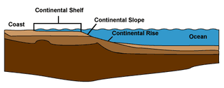 <span class="mw-page-title-main">Continental rise</span> Underwater feature connecting the continental slope and the abyssal plain