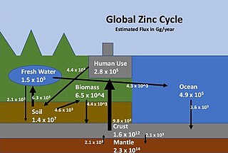 <span class="mw-page-title-main">Zinc cycle</span>